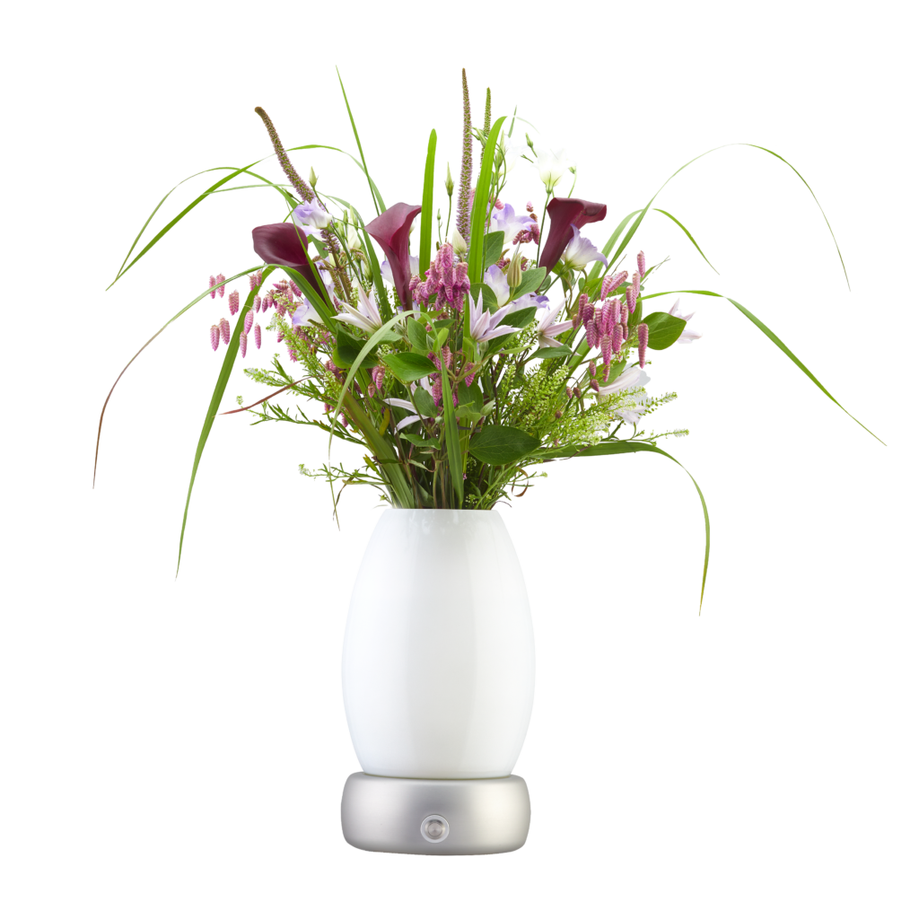 Die beleuchtete Vase